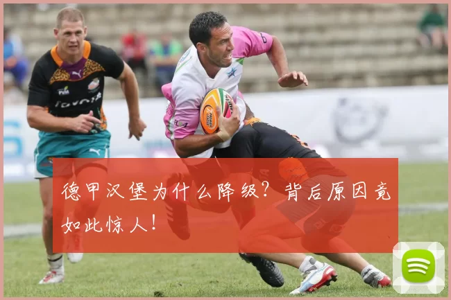 德甲汉堡为什么降级？背后原因竟如此惊人！